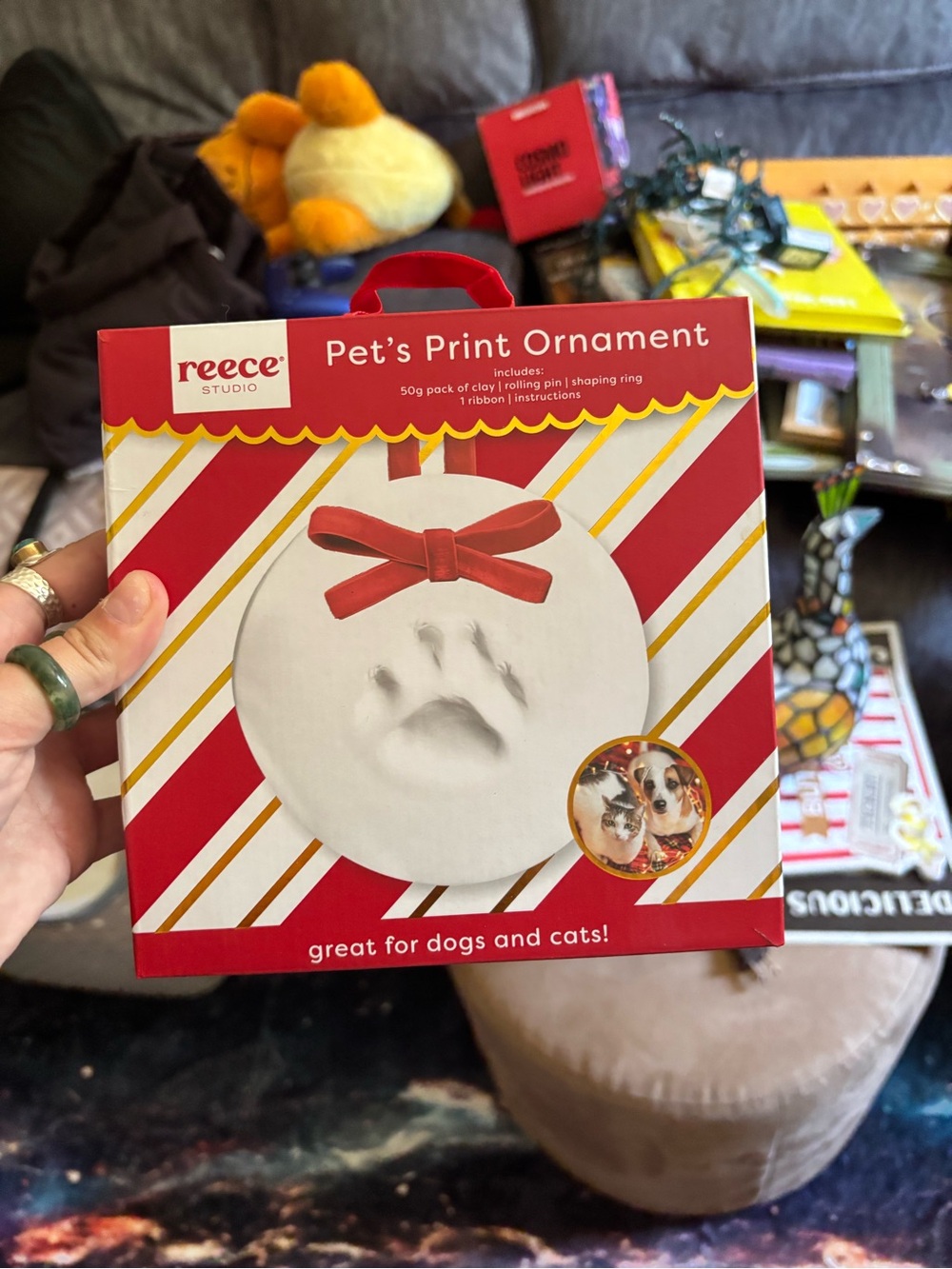Pet's Print Ornament Kit - Red and White